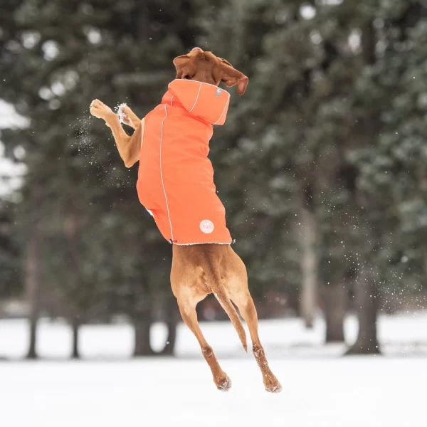 Insulated Raincoat - Orange - Image 5