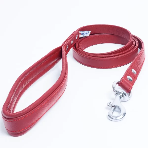 Alpine Leash - Image 3