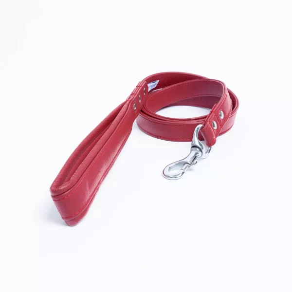 Alpine Leash - Image 5