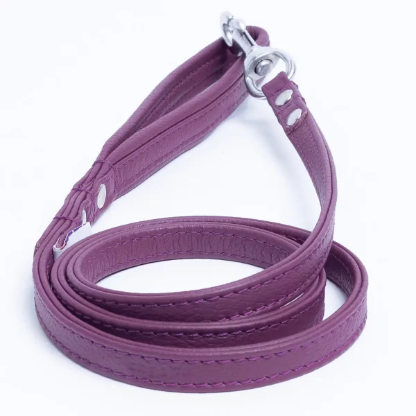 Alpine Leash - Image 12