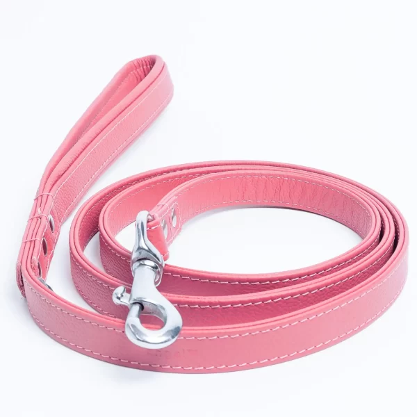 Alpine Leash - Image 30