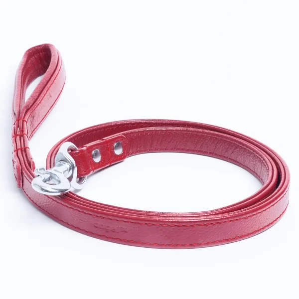 Alpine Leash - Image 33