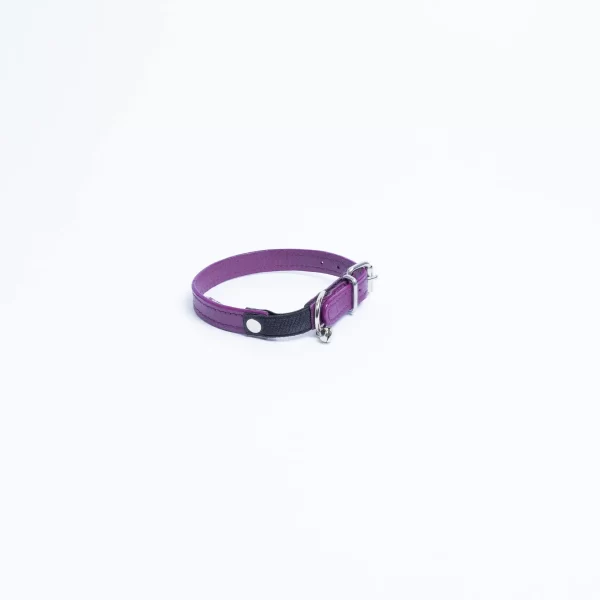 Alpine Cat Collars - Image 32