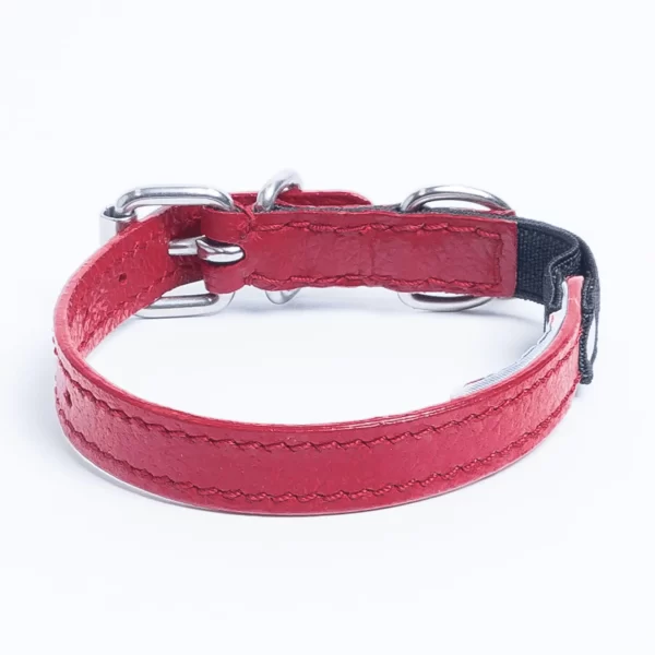 Alpine Cat Collars - Image 46