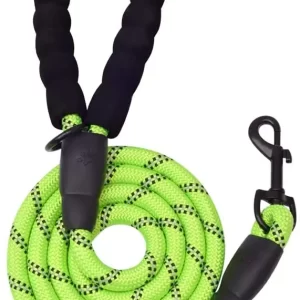 5 FT Thick Highly Reflective Dog Leash-Green