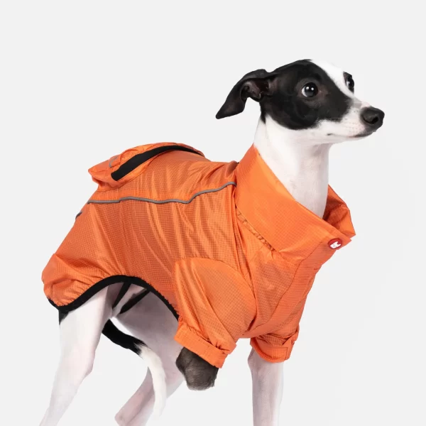 EVA Packable Raincoat - Image 2