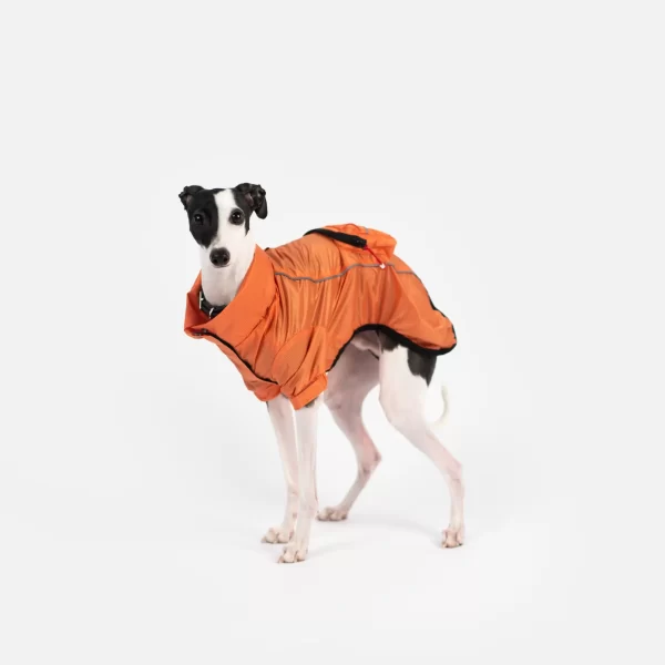 EVA Packable Raincoat - Image 6